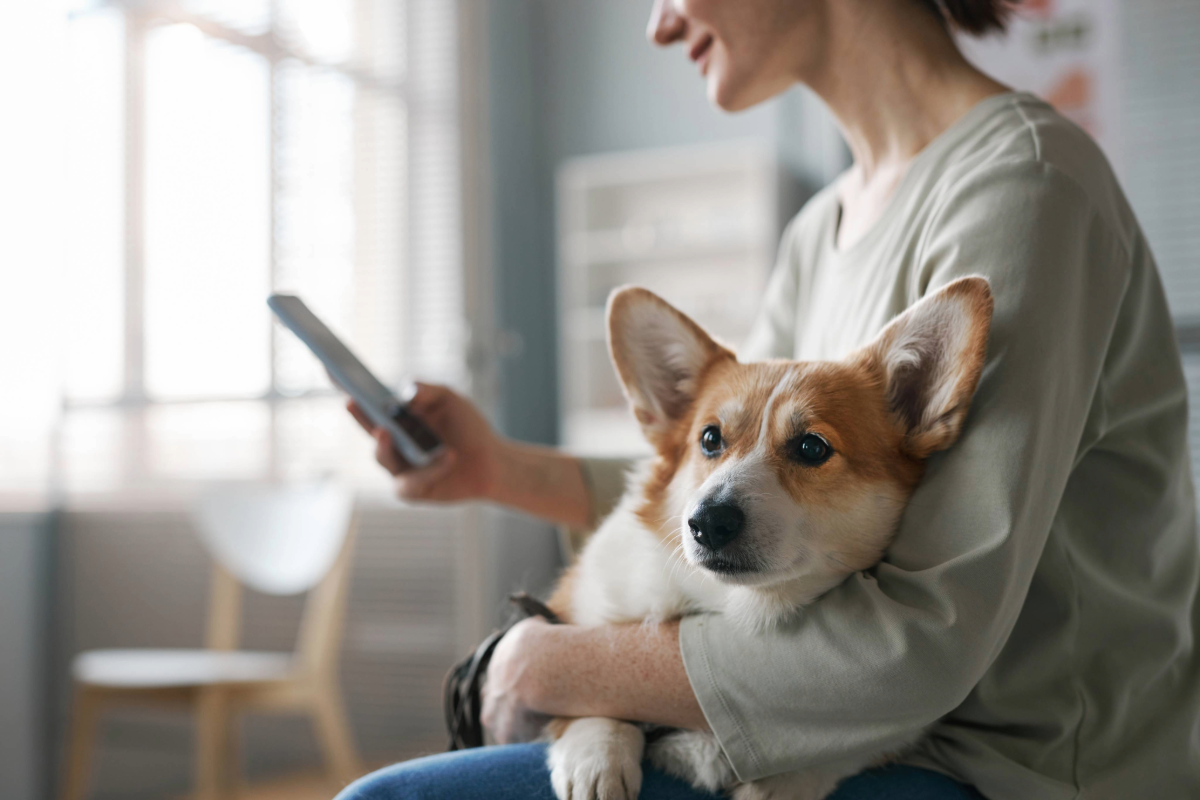 Easing the Emotional Journey of Pet Care